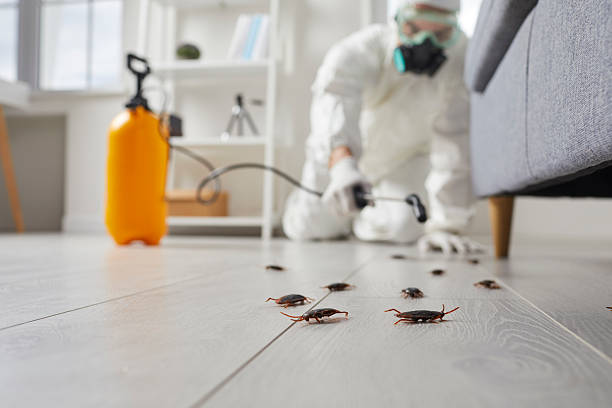 Post-Treatment Bed Bug Interceptor Monitoring in Lake Stickney