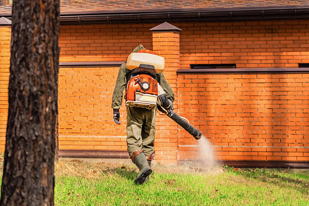 Bed Bug Clearance Verification and Documentation in Lake Stickney